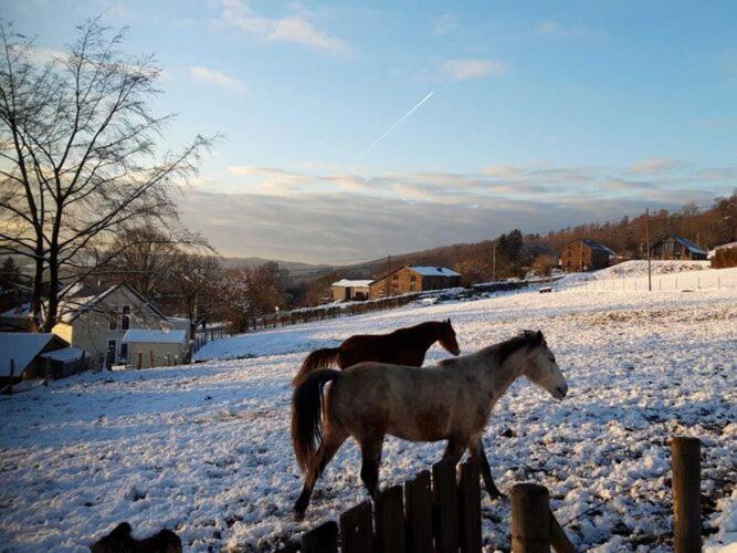 Gorgeous Holiday Home In Stoumont With Garden Eksteriør bilde